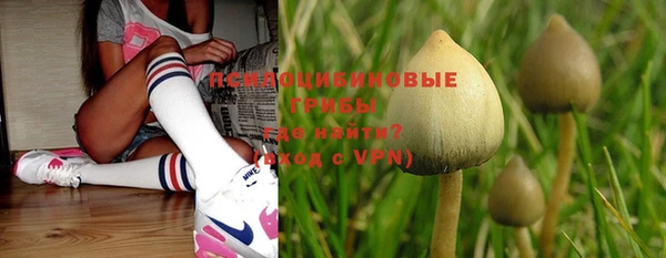 дмт Пересвет