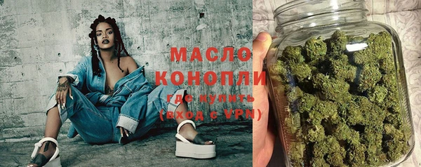 дмт Пестово