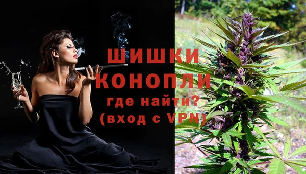 дмт Пересвет