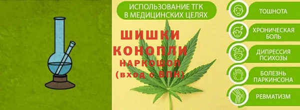 дмт Пестово