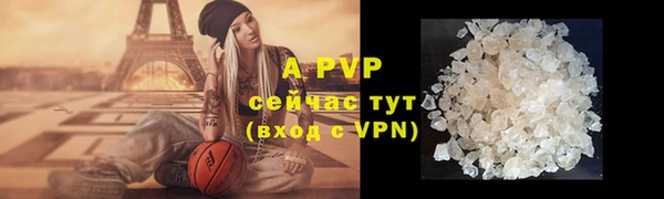 дмт Пересвет