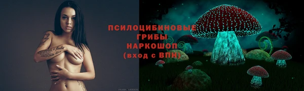 дмт Переславль-Залесский