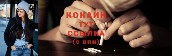 дмт Пересвет