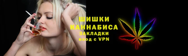 дмт Пестово