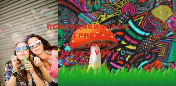 дмт Пестово