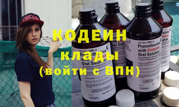 дмт Пересвет