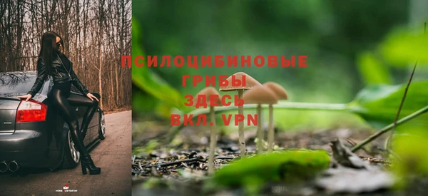 дмт Пересвет